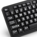 Picture of Tastatura sa velikim slovima ESPERANZA FLORIDA, USA layout, EK129