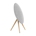 Picture of Beosound A9 5.G Natural Aluminium B - FLEX