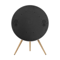 Picture of Beosound A9 5.G Natural Aluminium B - FLEX
