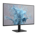 Picture of MONITOR PHILIPS LED 24E2N1110/00 23.8" 16:9 IPS 300cd 1500:1 4ms/1ms MPRT 1920x1080 120Hz VGA HDMI Tilt