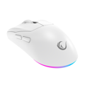Picture of Miš gaming RAMPAGE PROTE M5 Pro Wireless White RGB LED Charged 26000 DPI 3395 Sensor, 41247