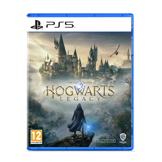 Picture of Hogwarts Legacy PS5