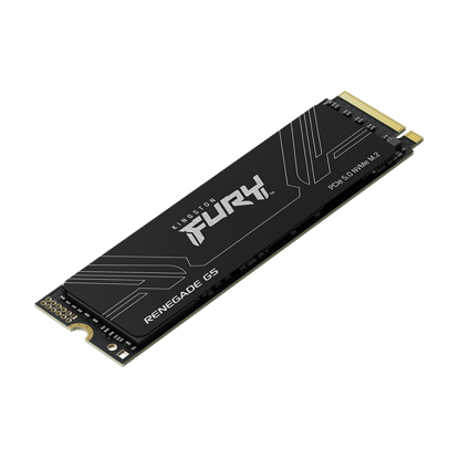 Kingston SSD SFYR2S/1T0 1TB NVMe M.2 Fury Renegade, PCIe 5.0 R/W : 14200/11000MB/s