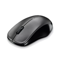 Picture of Miš RAPOO 1620 - Mouse Wireless black, R-11464