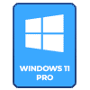Windows 11 Professional